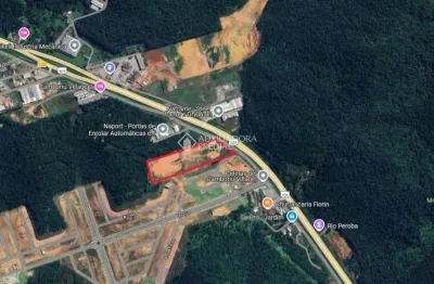 Terreno à venda na rua marginal oeste, 1, monte alegre, camboriú, 50000 m2