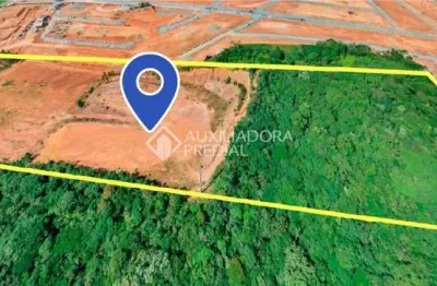 Terreno à venda na rua marginal oeste, 1, monte alegre, camboriú, 60000 m2 por r$ 100.000.000