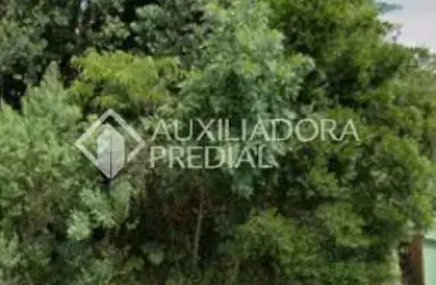 Terreno comercial à venda na almirante barroso, 591, maggi, canela, 1250 m2 por r$ 1.500.000