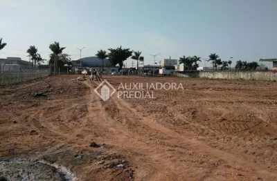 Terreno comercial à venda na avenida governador adolfo konder, 2406, são vicente, itajaí, 6850 m2 por r$ 13.900.000