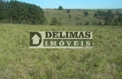 1416 - terreno rural com 732,194 m² / 30,25 alqueires em são luiz do purunã - balsa nova