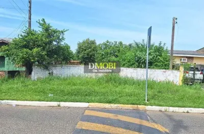 Terreno à venda na Avenida São João Batista, Caça e Pesca, Gravataí