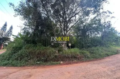 Terreno à venda, 600 m² por r$ 79.000,00 - condomínio campestre guadalajara (barro vermelho) - grav
