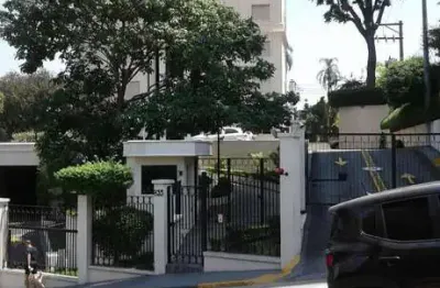 Apartamento com 3 quartos para alugar no Parque Mandaqui, São Paulo 