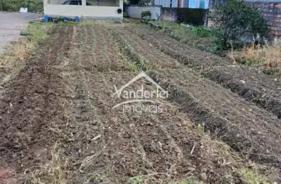 Terreno à venda no Guarda do Cubatão, Palhoça 