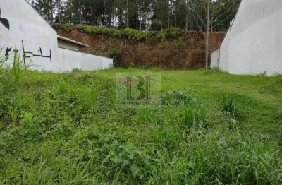 Terreno para venda em jaraguá do sul / sc no bairro amizade