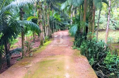 Chácara / sítio à venda em Amizade, Guaramirim 