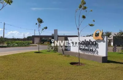 Terreno em condomínio fechado à venda na Alameda Irlanda, Terras Alpha Residencial 2, Senador Canedo