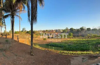 Chácara à venda no jardim helvécia complemento - aparecida de goiânia/go