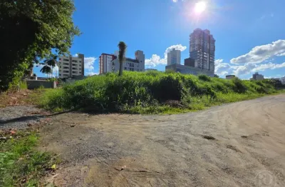 Terreno no centro de blumenau - oportunidade única de investimento