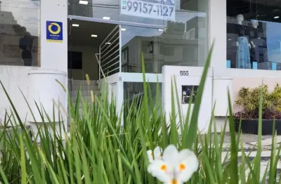 Oportunidade única! sala comercial de 280m² recém-reformada - rua antônio da veiga, blumenau/sc
