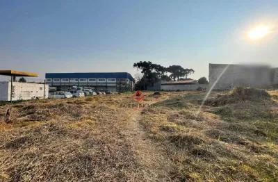 Terreno à venda na rua sílvio pinto ribeiro, quississana, são josé dos pinhais, 2000 m2 por r$ 1.350.000