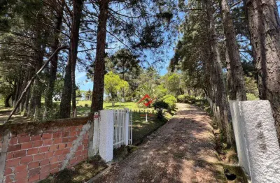 Chácara / sítio com 2 quartos à venda na rua vila nova, cachoeira, são josé dos pinhais, 380 m2 por r$ 5.250.000