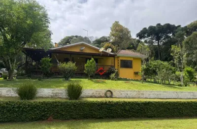 Chácara / sítio com 2 quartos à venda na avenida volkswagen audi, campo largo da roseira, são josé dos pinhais, 220 m2 por r$ 650.000