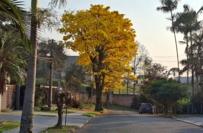 Jd schaffer duas casas independentes no mesmo terreno para uma grande família