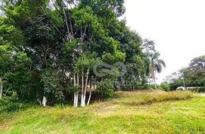 Terreno à venda, 700 m² por r$ 1.100.000,00 - córrego grande - florianópolis/sc