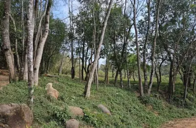 Terreno à venda na Rua Professor Alberto Piekarz, Colônia Antônio Prado, Almirante Tamandaré