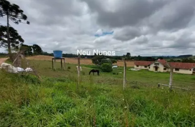 Chácara / sítio com 3 quartos à venda na Rua Felipe Rendoke, Contenda, São José dos Pinhais