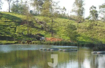 Sítio à venda - vila nova, amparo - 350m2  - 4 quartos