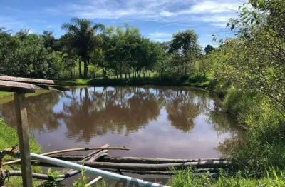 Sítio à venda - sertãozinho amparo, amparo - 170m2  - 3 quartos
