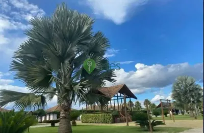 Terreno à venda na Rodovia Conquista-Barra do Choça, Universidade, Vitória da Conquista