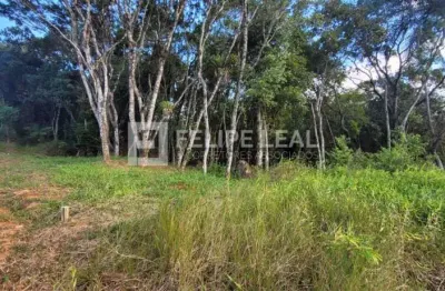 Lote / terreno em calemba - santo amaro da imperatriz, sc