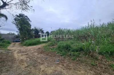 Terreno à venda na Servidão Edmilson Weingartner de Farias, 33, Bela Vista, Palhoça