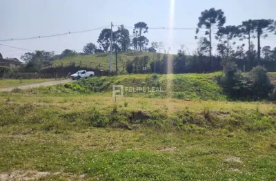 Terreno à venda na Rua Jorge Francisco Bruggemann, 330, Morro Chato, Rancho Queimado