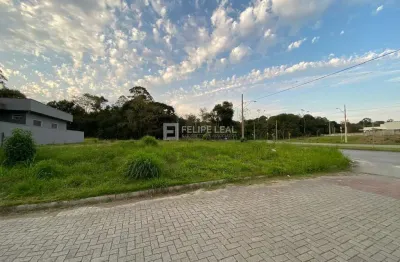 Terreno à venda na Rua Antônio Jovita Duarte, 6726, Forquilhas, São José