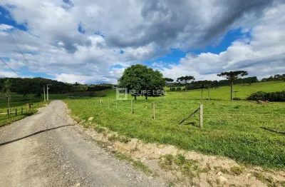 Chácara / sítio à venda na Estrada Geral Vargeado, Vargedo, Rancho Queimado