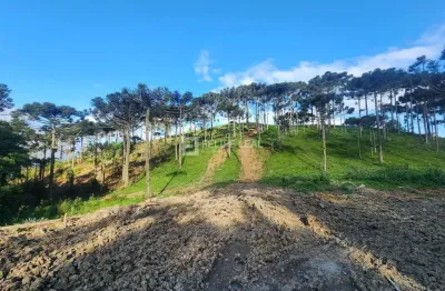 Chácara / sítio à venda na Estrada Geral Do Pinheiral, Zona Rural, Rancho Queimado