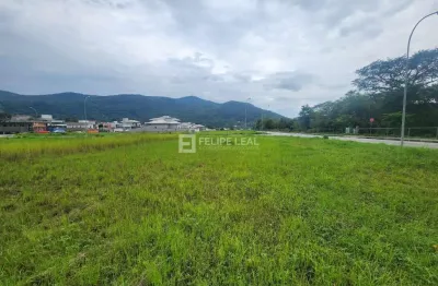 Lote / terreno em sul do rio  -  santo amaro da imperatriz