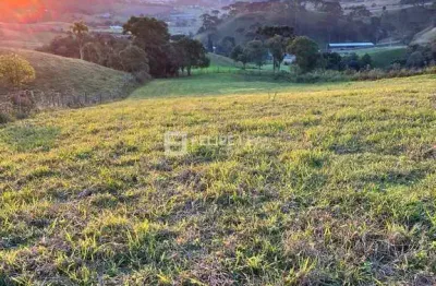 Chácara / sítio à venda na Estrada Geral Do Mato Francês, Taquaras, Rancho Queimado