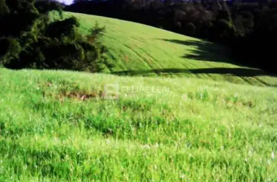 Chácara / sítio à venda na Estrada Geral De Rio Pequeno, Rio Pequeno, Angelina