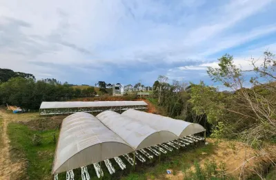 Chácara / sítio à venda na Estr. Geral Da Invernadinha, 533, Invernadinha, Rancho Queimado