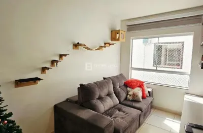 Apartamento com 2 quartos à venda na Rua Adélia Schröeder Pontes, 645, Serraria, São José