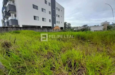 Terreno à venda na Rua Maria de Lurdes Vieira de Oliveira, 66, Areias, São José