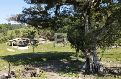 Fazenda à venda na Estrada Geral De Penha, Zona Rural, Paulo Lopes