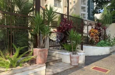 Re/max aluga apartamento cambuí campinas sp r$2.400,00 mobiliado
