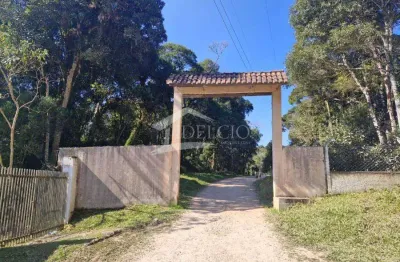 Chácara / sítio à venda na estrada da roseira, borda do campo, são josé dos pinhais por r$ 389.000