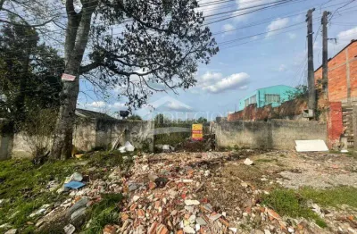 Terreno à venda na rua antônio orilei bastos, 206, rio pequeno, são josé dos pinhais, 429 m2 por r$ 260.000