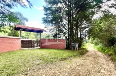 Chácara / sítio com 3 quartos à venda na Rua Quinze de Novembro, Centro, Tijucas do Sul, 120 m2 por R$ 999.900