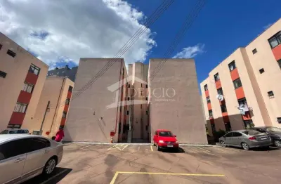 Apartamento com 2 quartos à venda na Rua Joaquim Nabuco, 2064, Centro, São José dos Pinhais, 50 m2 por R$ 265.000
