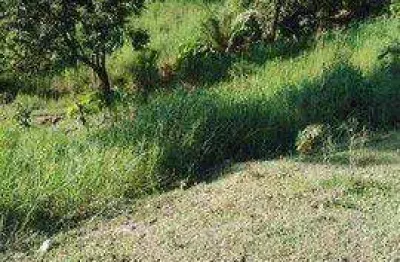 Terreno à venda, 405 m² por r$ 61.000,00 - jardim são francisco - almirante tamandaré/pr