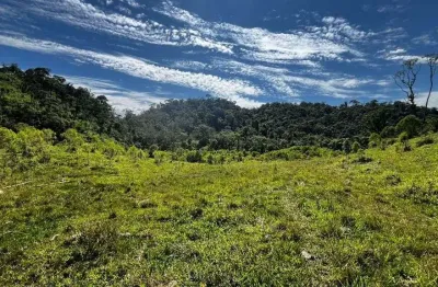 Chácara à venda, 145200 m² por r$ 720.000,00 - paiol de baixo - campina grande do sul/pr