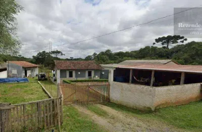 Chácara com 2 dormitórios à venda, 1650 m² por r$ 350.000,00 - costeira - araucária/pr