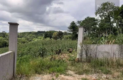 Chácara à venda, 6000 m² por r$ 259.900,00 - imbuial - colombo/pr