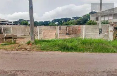 Terreno à venda, 645 m² por r$ 350.000 - gralha azul - fazenda rio grande/pr