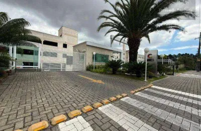 Apartamento com 2 dormitórios à venda, 40 m² por R$ 280.000,00 - Pinheirinho - Curitiba/PR