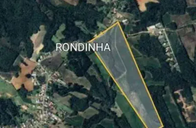 Área para condominio à venda - santa nely - campo largo/pr